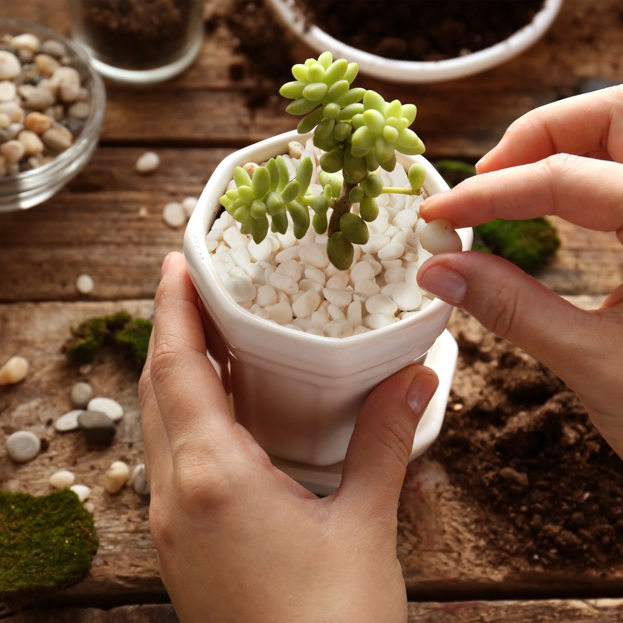 Żwir marmurowy biały 5-15 mm - obrazek 4