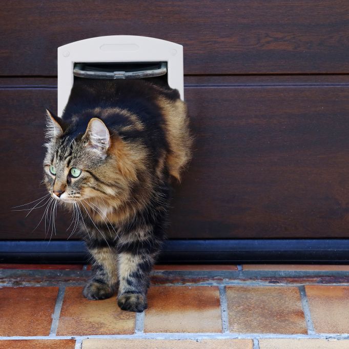 Drzwiczki wahadłowe Relaxdays 20 x 22 cm białe DLA PSA KOTA - obrazek 2